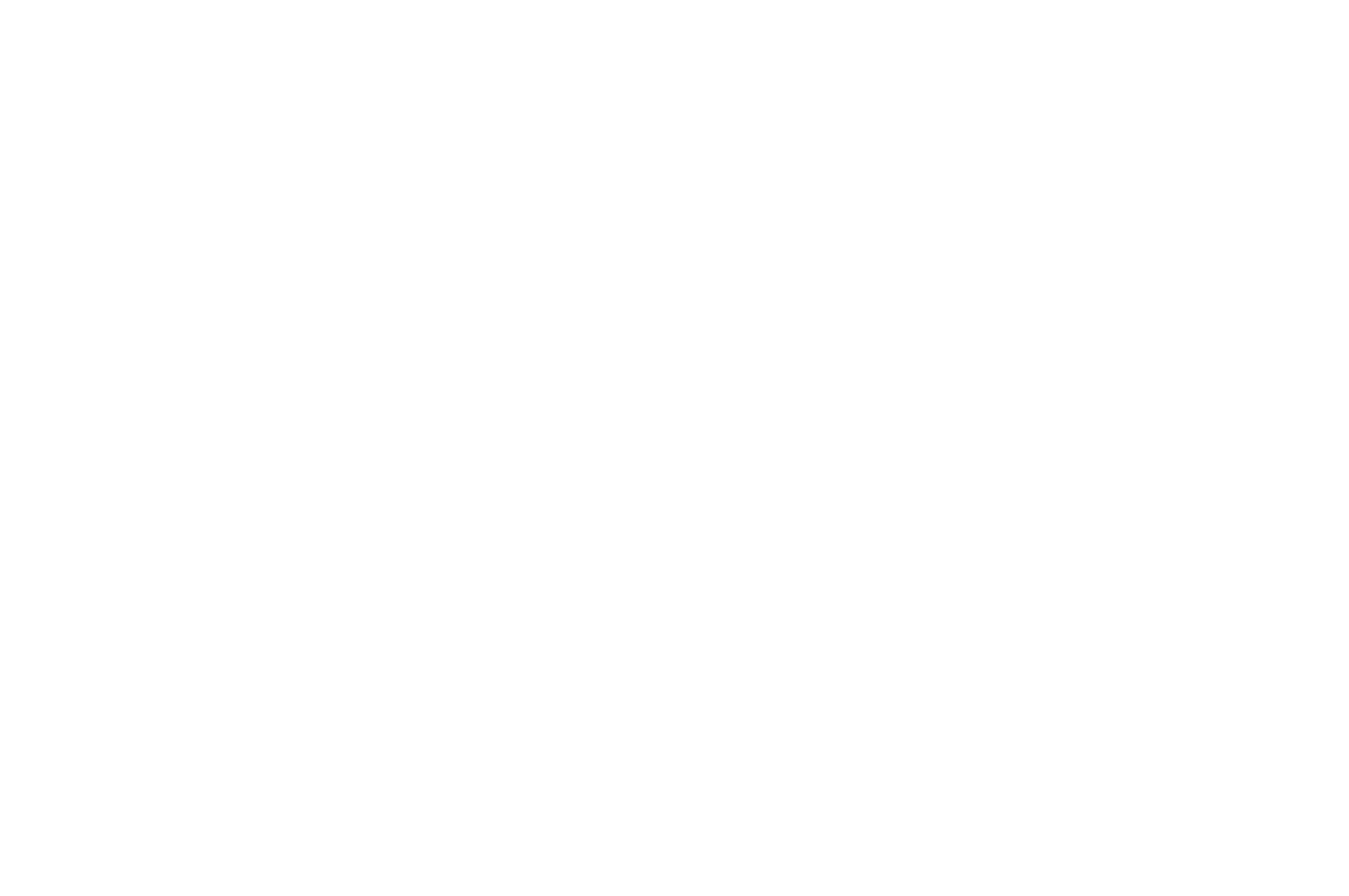 OFFICIAL SELECTION - Reale Film Festival - BiMonthly Awards - 2025 (1)
